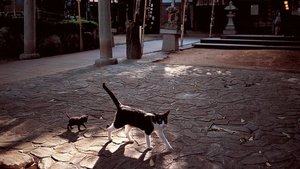 undefined Images